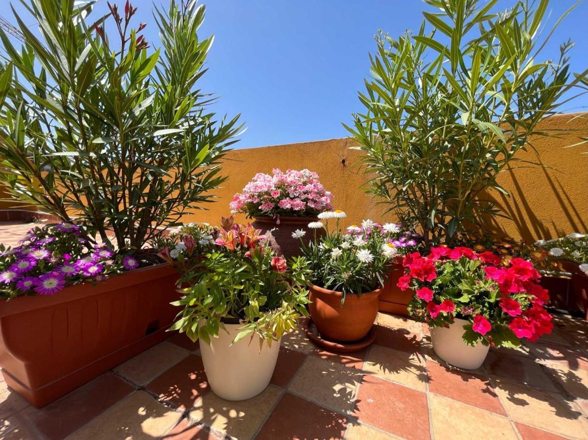 Casa Yvona Apartment Alghero Bagian luar foto